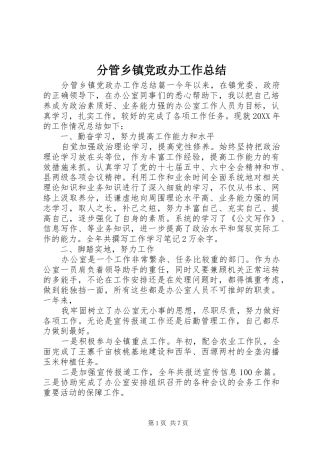 2024年分管乡镇党政办工作总结