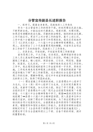 2024年分管宣传副县长述职报告