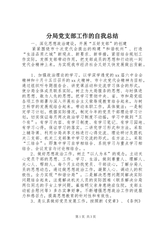 2024年分局党支部工作的自我总结