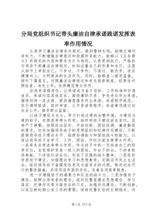 2024年分局党组织书记带头廉洁自律承诺践诺发挥表率作用情况