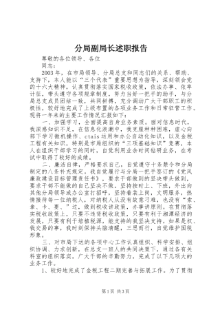 2024年分局副局长述职报告