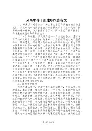 2024年分局领导干部述职报告范文