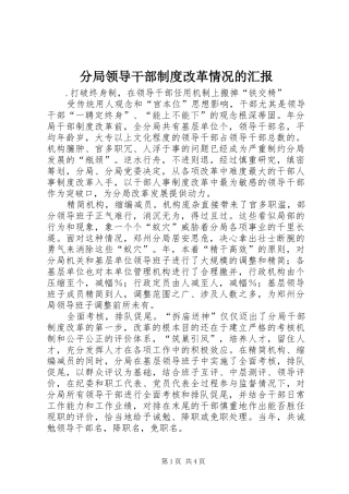 2024年分局领导干部制度改革情况的汇报