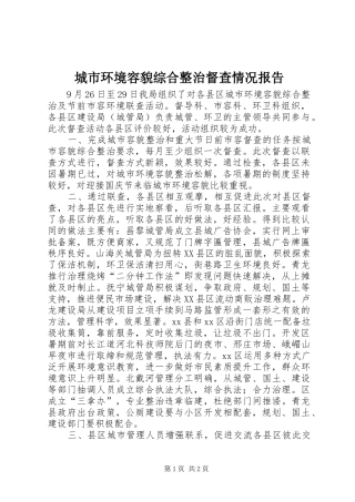 2024年城市环境容貌综合整治督查情况报告
