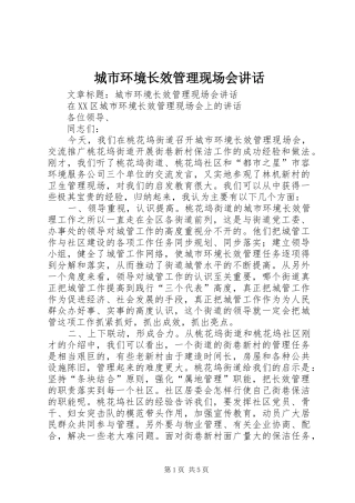 2024年城市环境长效管理现场会致辞