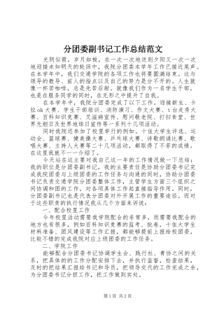 2024年分团委副书记工作总结范文