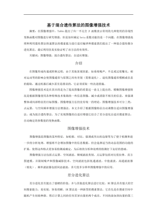 基于混合遗传算法的图像增强技术