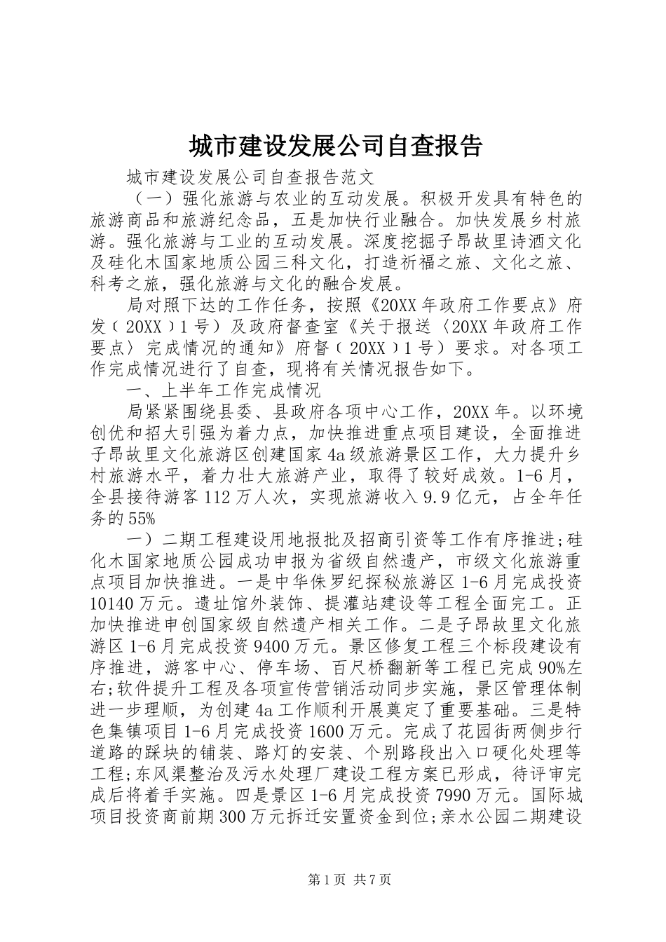 2024年城市建设发展公司自查报告_第1页