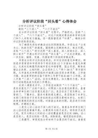 2024年分析评议阶段回头看心得体会