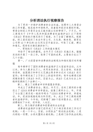 2024年分析消法执行视察报告