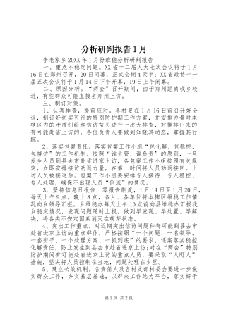 2024年分析研判报告月
