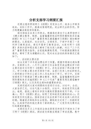 2024年分析支部学习纲要汇报