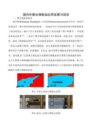 国内外聚合物驱油应用发展与现状