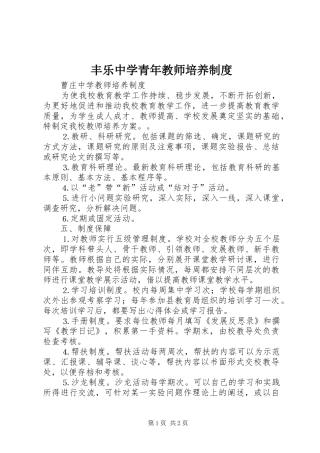 2024年丰乐中学青年教师培养制度