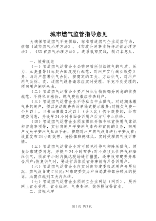 2024年城市燃气监管指导意见