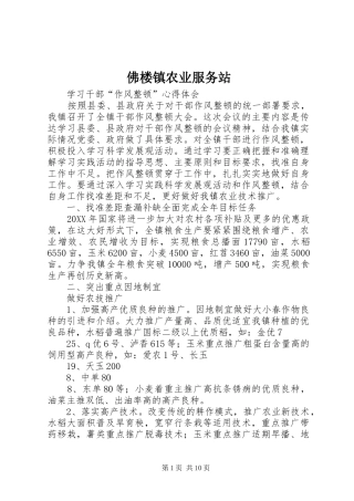 2024年佛楼镇农业服务站