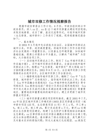 2024年城市双修工作情况视察报告