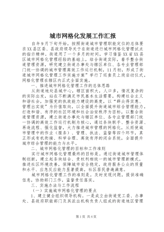 2024年城市网格化发展工作汇报