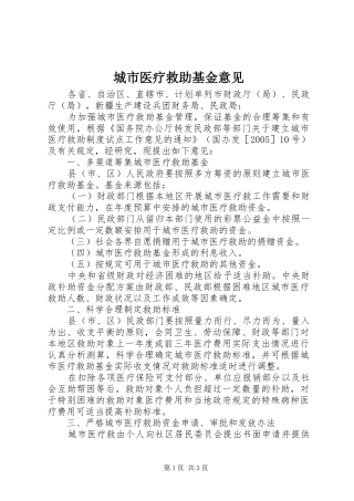 2024年城市医疗救助基金意见