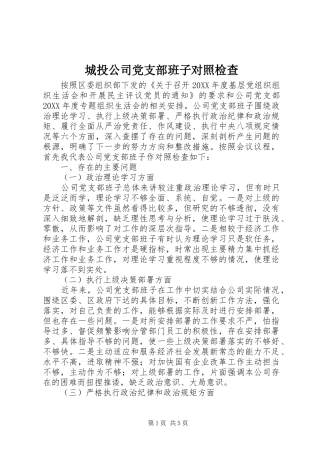 2024年城投公司党支部班子对照检查