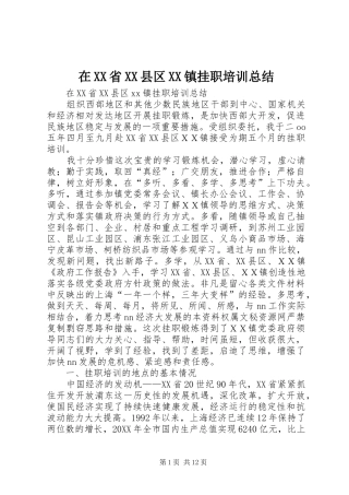 2024年在省县区镇挂职培训总结