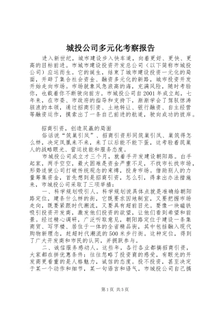 2024年城投公司多元化考察报告