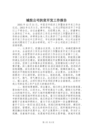 2024年城投公司扶贫开发工作报告