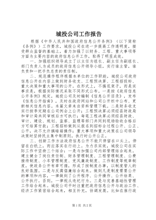 2024年城投公司工作报告