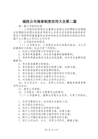 2024年城投公司规章制度实用大全第二篇