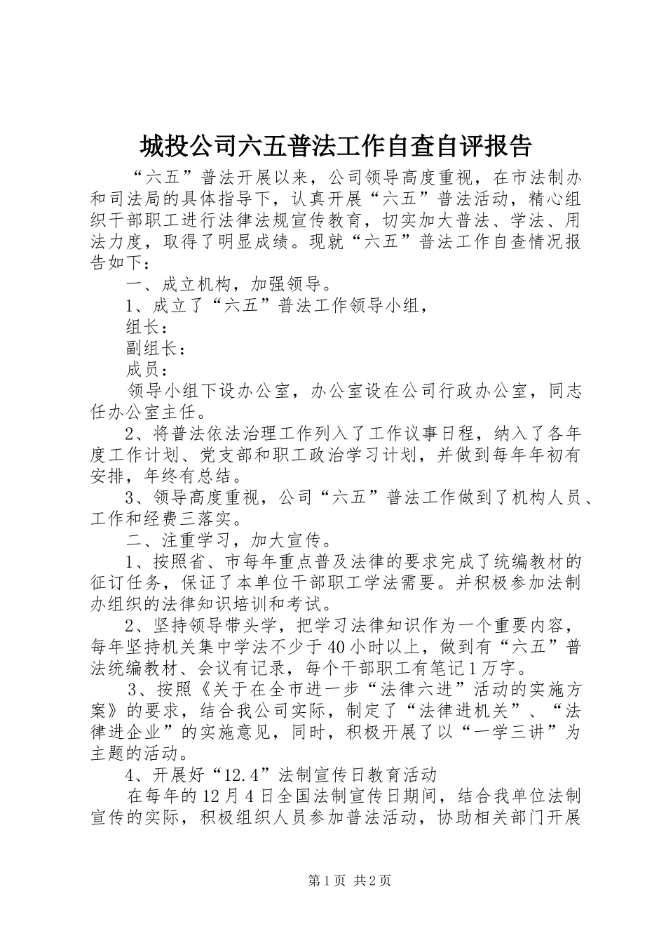2024年城投公司六五普法工作自查自评报告_第1页
