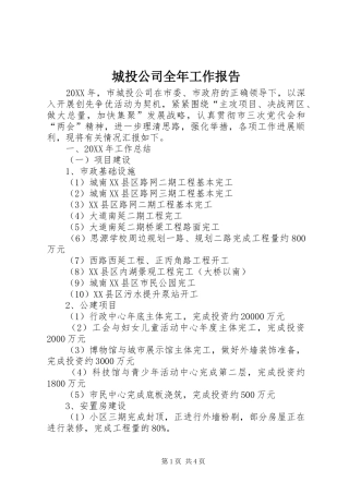 2024年城投公司全年工作报告