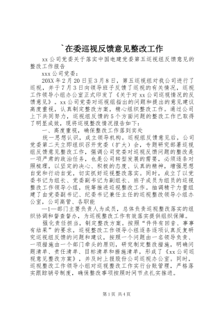 2024年在委巡视反馈意见整改工作