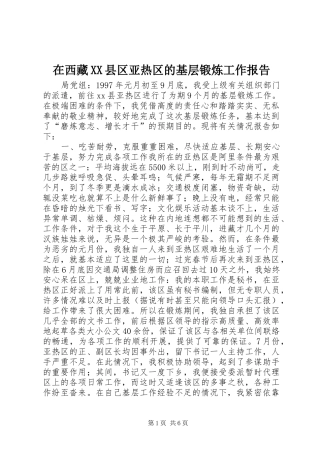 2024年在西藏县区亚热区的基层锻炼工作报告