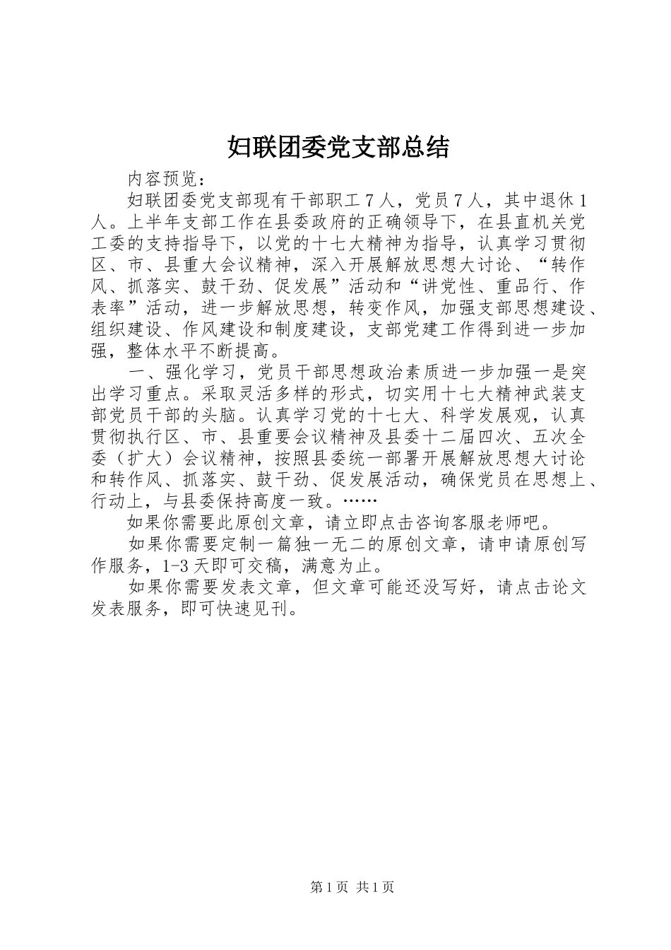 2024年妇联团委党支部总结_第1页