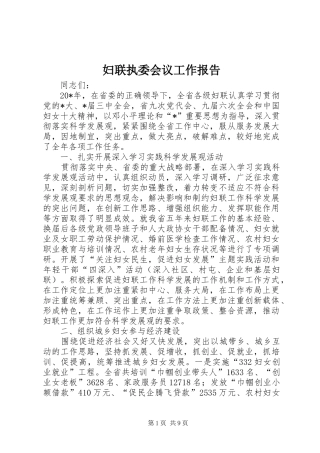 2024年妇联执委会议工作报告