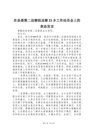 2024年在县委第二巡察组巡察乡工作动员会上的表态讲话