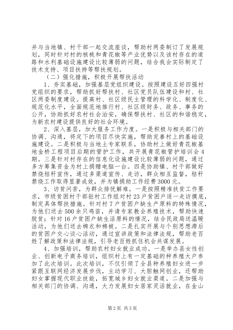 2024年妇联驻村第一书记工作总结_第2页