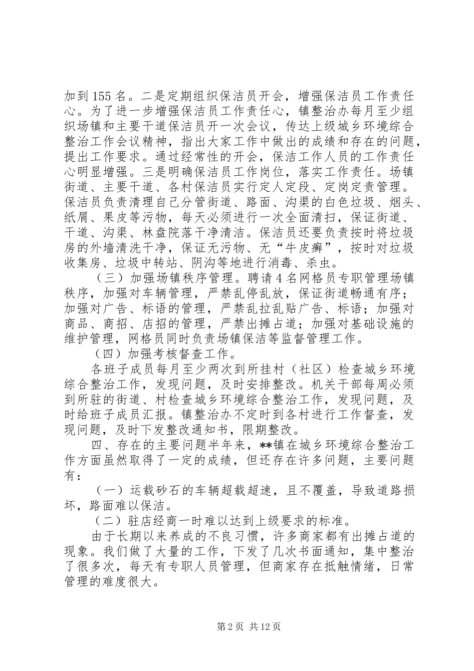 2024年城乡环境综合整治工作小结_第2页