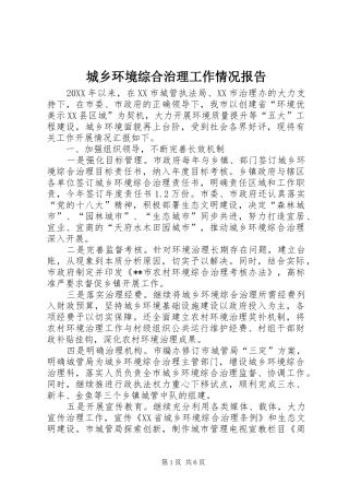 2024年城乡环境综合治理工作情况报告
