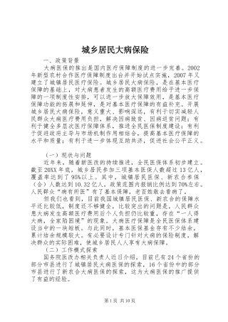 2024年城乡居民大病保险