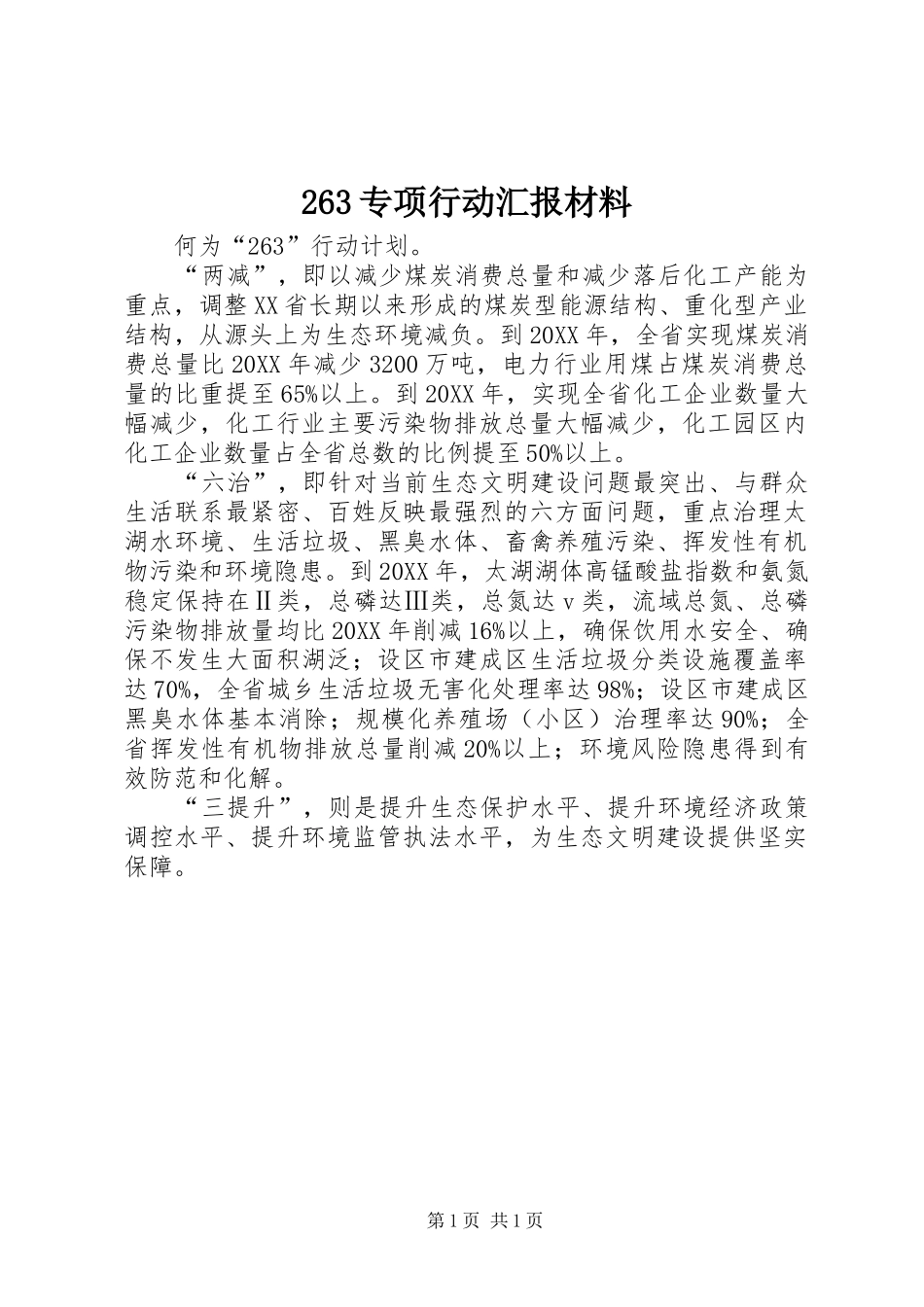 2024年专项行动汇报材料_第1页