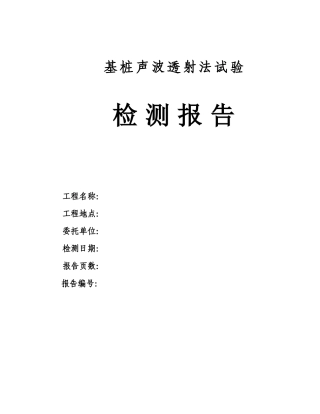 基桩声波透射法检测报告