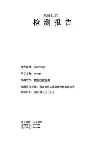 基-桩-钻-芯-检-测-报-告