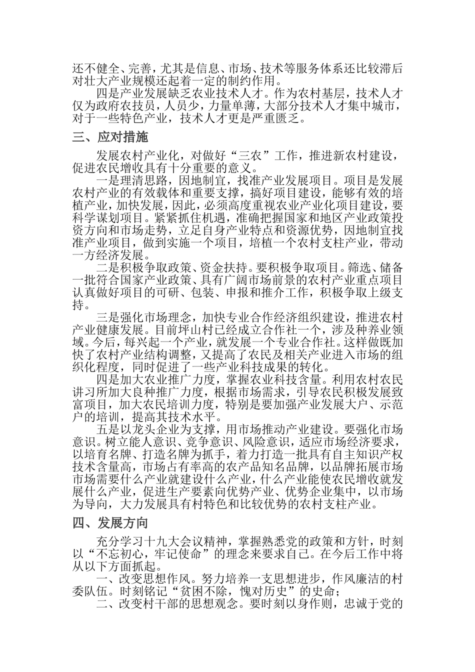 坪山村产业发展思路_第2页