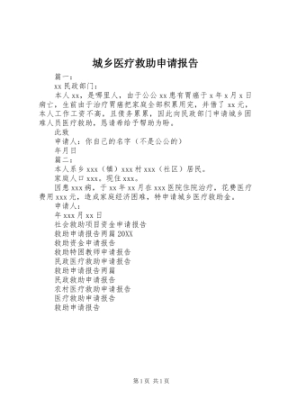 2024年城乡医疗救助申请报告