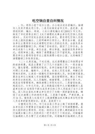 2024年吃空饷自查自纠情况