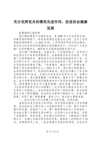 2024年充分发挥党员的模范先进作用，促进协会健康发展