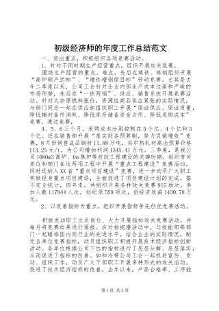 2024年初级经济师的年度工作总结范文