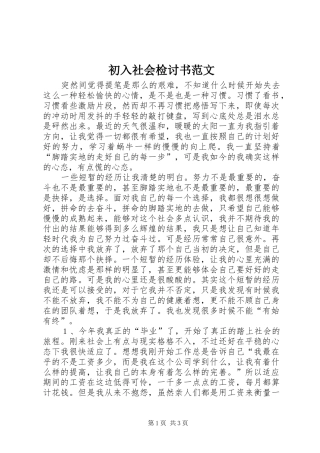 2024年初入社会检讨书范文
