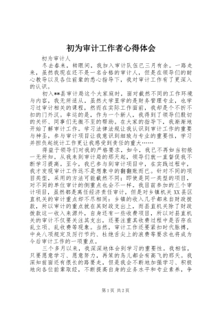 2024年初为审计工作者心得体会